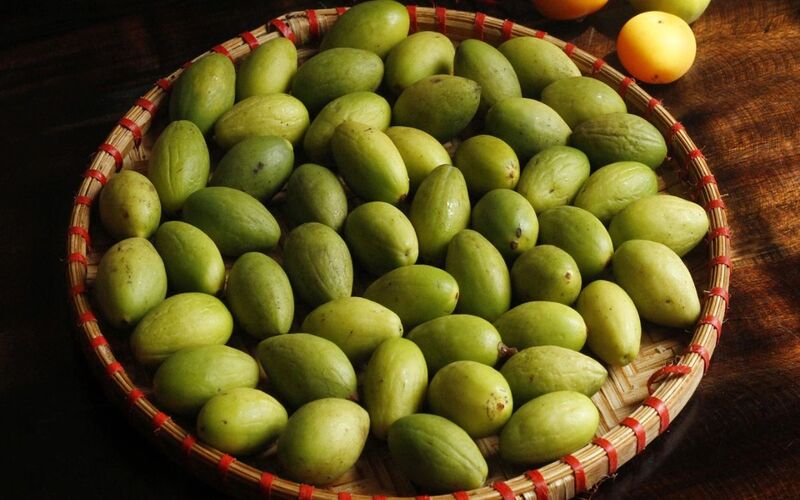 cach-bao-quan-tram-xanh-trong-tu-lanh-2