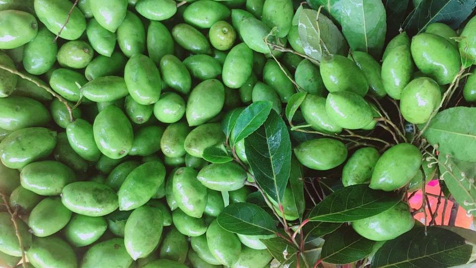 Cách bảo quản trám xanh trong tủ lạnh